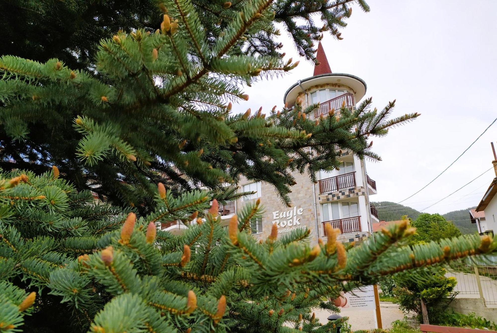 Sa Services Private Apartments, Eagle Rock Complex Beli Iskar Zewnętrze zdjęcie